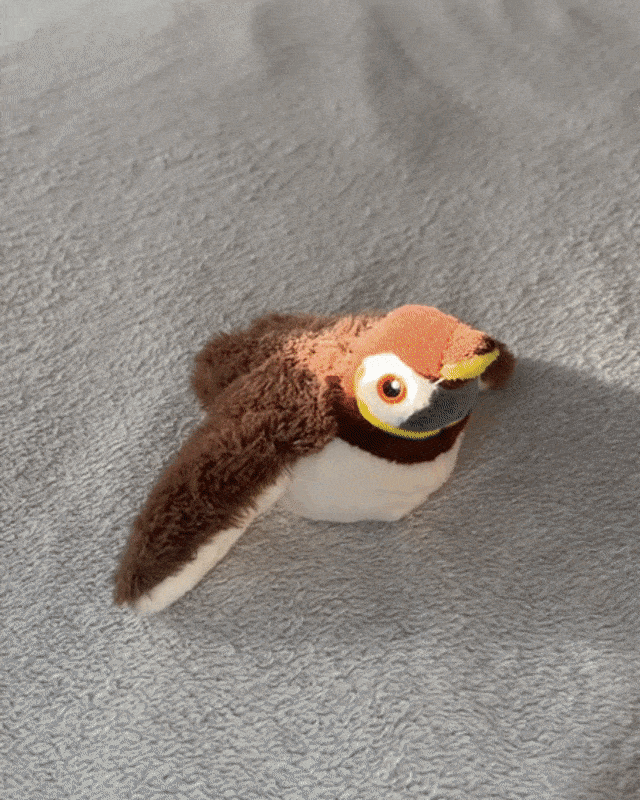 FlappyChase Fun Bird